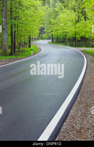 Winding road through forest in spring with lush green foliage. Bavaria, Germany. Stock Photo