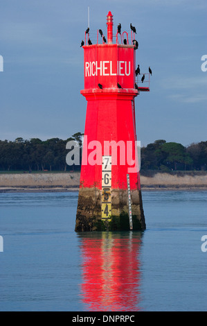 Richelieu tag showing boats entry in La Rochelle port in Charente-Maritime, France Stock Photo