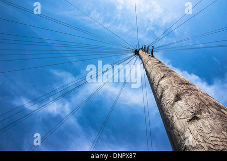 Telephone Pole with Wires leading in all Directions, North London, England Stock Photo