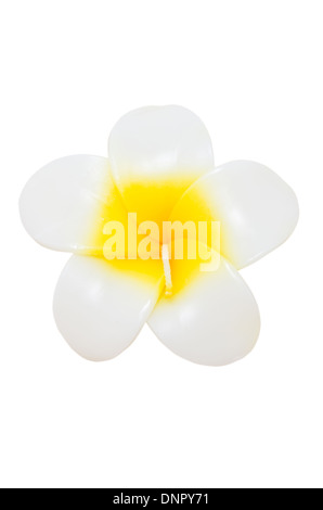 Plumeria flower candles isolated on white Stock Photo