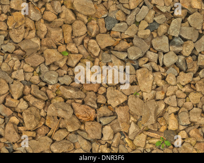 Wet gravel seamless texture Stock Photo