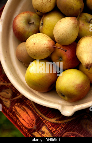 A bowl of freshly picked apples and pears Stock Photo