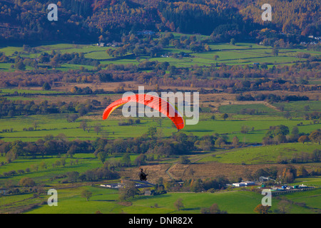Paraglider soring above woods and houses. Stock Photo
