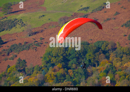 Paraglider soring above woods. Stock Photo