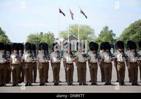 1st battalion welsh guards, on the drill square at Cavalry Barracks, HOUNSLOW, LONDON. As it is there troop this year 2013 Stock Photo