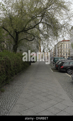 Grey sky portrait, to Sredzkistrasse and Danziger Strasse, tree, hedge, pavement, parked cars, apartments, Knaackstrasse, Berlin Stock Photo