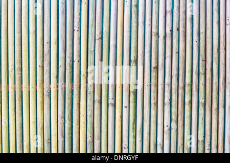 Colorful wooden poles as a detailed background image Stock Photo
