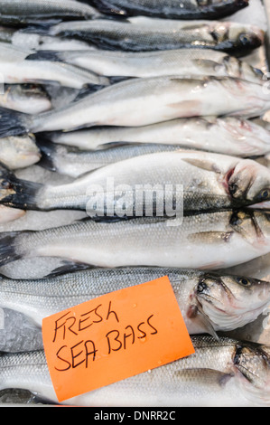 Fresh sea bass for sale at a fishmonger