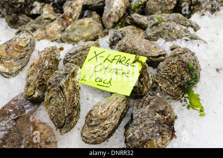 Oysters for sale at a fishmonger Stock Photo