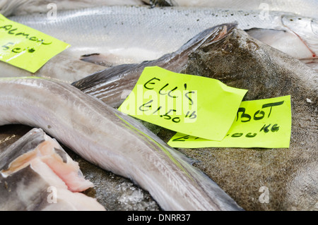 Ells [sic] (eels) for sale at a fishmonger Stock Photo