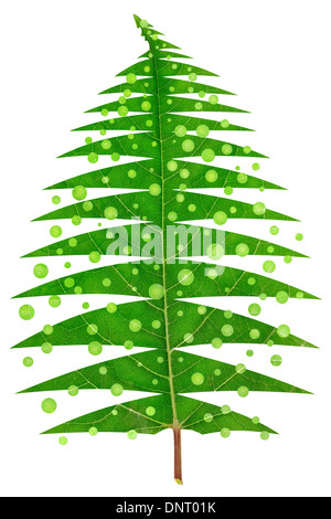 Abstract image of a green Christmas tree made from green summer leaf. Isolated, contains patches Stock Photo