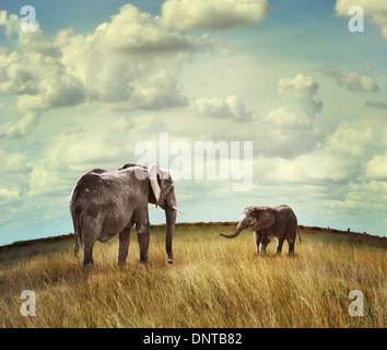 Young African Elephant With Mother Stock Photo
