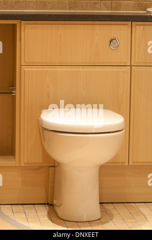 Toilet with lid and seat down Stock Photo