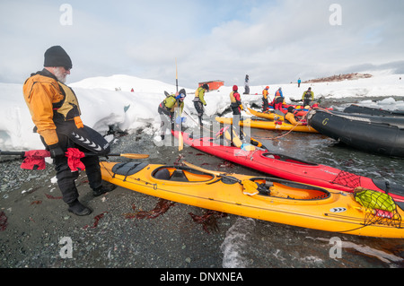 Kayakers Launching Mikkelsen Harbour Trinity Island Antarctica with People | MIKKELSEN HARBOUR, Antarctica — Sea kayakers in dry suits launch yellow and red expedition kayaks from the gravel beach at Mikkelsen Harbour on Trinity Island, a red refuge hut visible on the snow behind them. Kayak excursions here run under IAATO guidelines that restrict vessel proximity to wildlife and require decontamination between landings to limit the spread of non-native species. Stock Photo