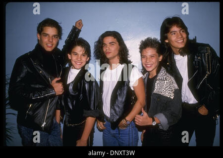 menudo band ricky martin