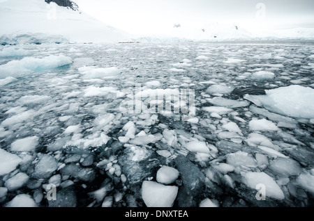 ANTARCTICA - Small pieces of ice and brash ice float on the water of Curtis Bay, Antarctica. Because the salty sea water temperature is at or below the freezing temperature of the freshwater ice, the ice remains frozen for long periods of time. Stock Photo