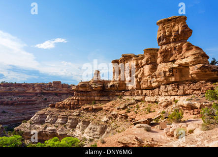 Big Spring Canyon Overlook in The Needles section of Canyonlands National Park, Utah, USA Stock Photo