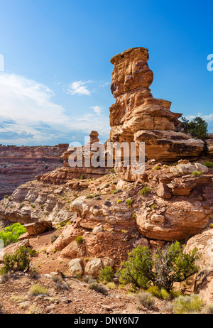 Big Spring Canyon Overlook in The Needles section of Canyonlands National Park, Utah, USA Stock Photo
