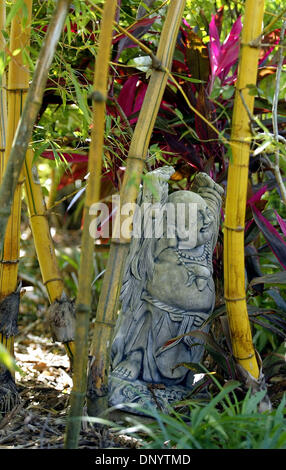 Feb 09, 2006; Stuart, FL, USA; This Buddha can be found among the Hawaiin golden stripe bamboo and red sister ti plants in the Oriental garden at Tropical Ranch Garden in Stuart.  Mandatory Credit: Photo by Paul J. Milette/Palm Beach Post /ZUMA Press. (©) Copyright 2006 by Palm Beach Post Stock Photo