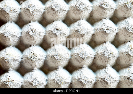 Carton Tray for Eggs Stock Photo