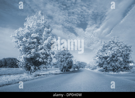 Warped road Stock Photo