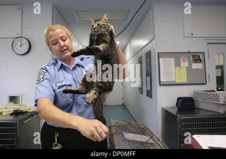 Mar 27, 2006; Palm Beach, FL, USA; Animal Control officer, Karen Larsen checks a new arrival at the shelter on Belvedere road for any signs of previous ownership.  Mandatory Credit: Photo by J. Gwendolynne Berry/Palm Beach Post/ZUMA Press. (©) Copyright 2006 by Palm Beach Post Stock Photo