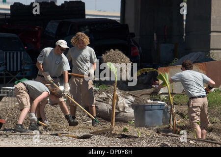 Apr 08, 2006; New Orleans, LA, USA; Americorp volunteers, Elizabeth Topham (Philadelphia), Joseph Fogarty (Long Island, NY), Peter Mills, (Shoreview, MN) and Eric Crawford (Philadelphia) work in the Bioremediation Garden at Common Ground Relief's Midtown Operation Center at Art Egg in New Orleans. In addition to the Bioremediation Gardens, Common Ground educates residents and provi Stock Photo