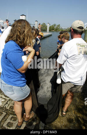 May 05, 2006; Boyton Beach, FL, USA; Workers with Florida Fish & Wildlife Conservation Commission haul 'Delray,' a 925-pound adolescent manatee, out to the Intracoastal Waterway before releasing him in Boynton Beach Friday, May 5, 2006. 'Delray' was rescued in the Tropic Isle subdivision in Delray Beach on January 2, 2006 after he was struck on the back by a boat propellor, leaving Stock Photo