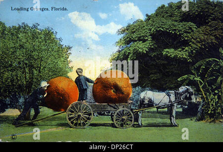 May 18, 2006; Miami, FL, USA; The title of this vintage whimisical postcard originally mailed in 1912 is 'Loading Oranges, Florida.  The recipient was a Mr. Leonard Staab of Cleveland, Ohio. Postmark bears date of December 26th.  It was mailed from Quincy, Florida.  Mandatory Credit: Photo by Historical Museum of Southern Florida/Palm Beach Post/ZUMA Press. (©) Copyright 2006 by Pa Stock Photo