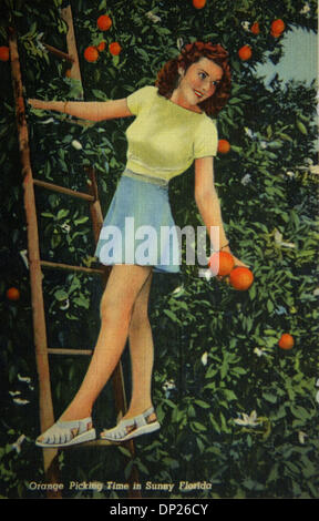 May 18, 2006; Miami, FL, USA; The title of this vintage postcard is 'Orange Picking Time in Sunny Florida'.  On the back it states the card is part of the Tropical Florida Series with the photo courtesy of Florida Cypress Gardens.  Probably from the 1950's or 60's. Mandatory Credit: Photo by Historical Museum of Southern Florida/Palm Beach Post/ZUMA Press. (©) Copyright 2006 by Pal Stock Photo