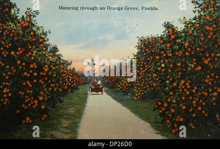 May 18, 2006; Miami, FL, USA; The title of this vintage postcard is 'Motoring through an Orange Grove, Florida'.   Undated and unsent card was from the early 20th century based on the early automobile on the card.  Mandatory Credit: Photo by Historical Museum of Southern Florida/Palm Beach Post/ZUMA Press. (©) Copyright 2006 by Palm Beach Post Stock Photo