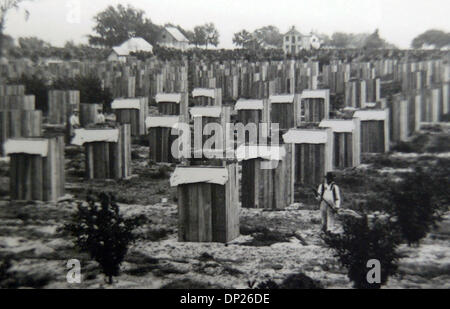 May 18, 2006; Miami, FL, USA; No location in Florida but hand-written pencil notations on back of photograph says 'Wooden Shelters built to protect Citrus Trees From a Freeze'.  Circa, 1890's. Mandatory Credit: Photo by The Florida State Archives/Palm Beach Post/ZUMA Press. (©) Copyright 2006 by Palm Beach Post Stock Photo