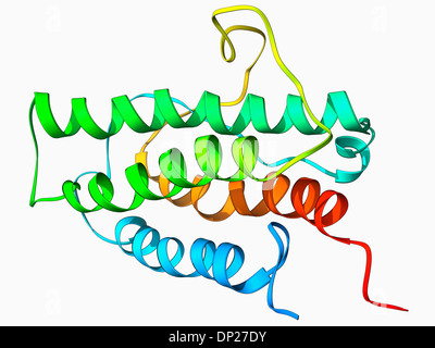 Erythropoietin hormone molecule Stock Photo