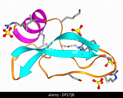 Green mamba venom molecule Stock Photo