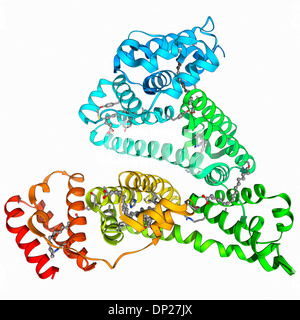 Human serum albumin molecule Stock Photo