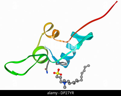 Insulin-like growth 1 factor molecule Stock Photo