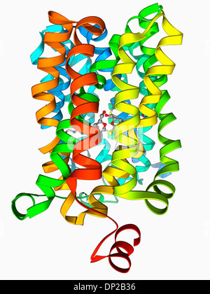 Lactose transporter protein molecule Stock Photo