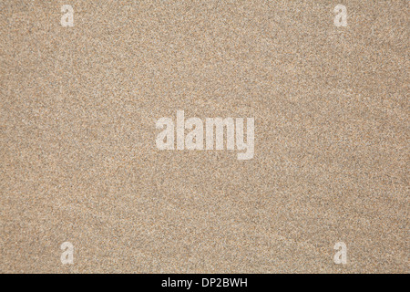 Beach sand background Stock Photo