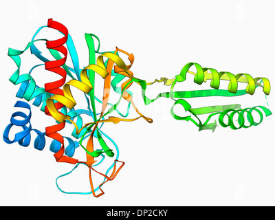 Plant hormone regulator, molecular model Stock Photo