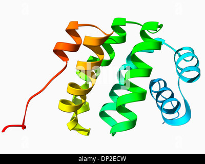 Programmed cell death protein molecule Stock Photo