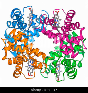 Haemoglobin S, molecular model Stock Photo