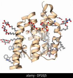 Rhomboid protease molecule Stock Photo