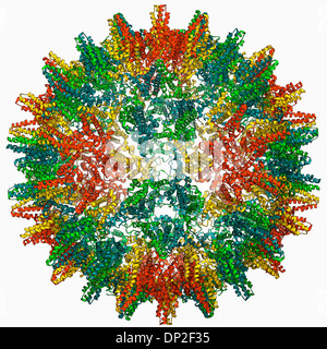 Hepatitis B virus capsid, molecular model Stock Photo