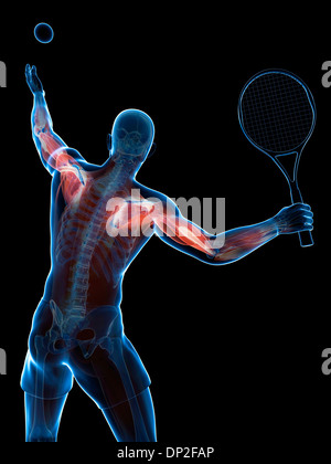 Tennis player, artwork Stock Photo