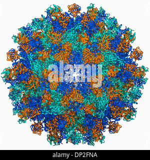 Hepatitis E virus capsid, molecular model Stock Photo