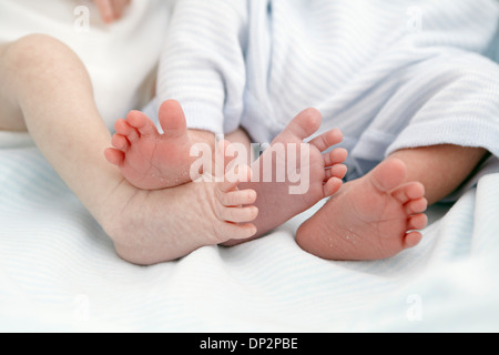Two week old twins Stock Photo