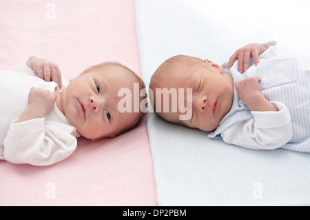 Two week old twins Stock Photo