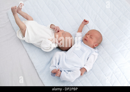 Two week old twins Stock Photo