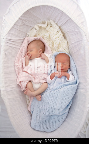 Two week old twins Stock Photo