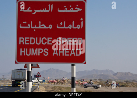 Road sign near camel crossing at Al-Malagit racetrack, Abu Dhabi, UAE Stock Photo